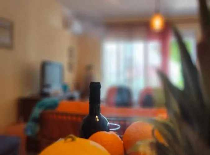 Διαμέρισμα Artemis *